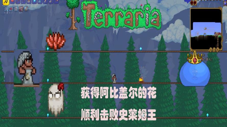 泰拉瑞亚阿尔盖比之花怎么获得