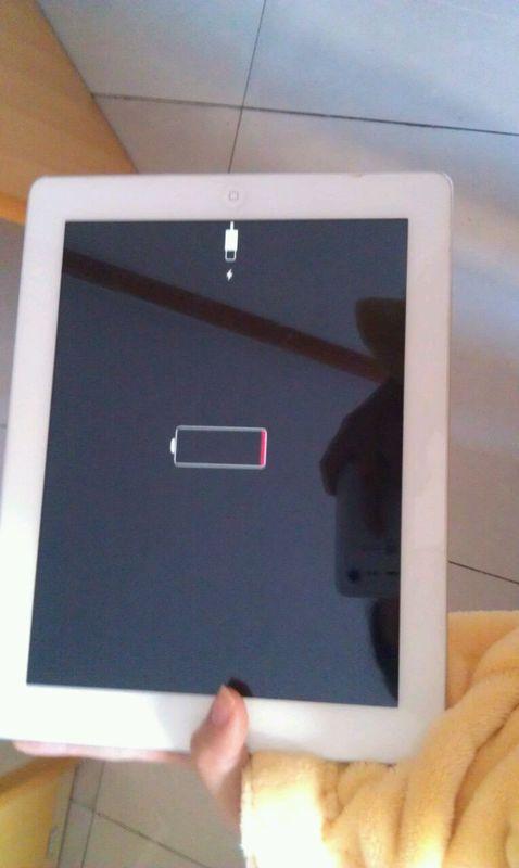 ipad怎么充电都是1%