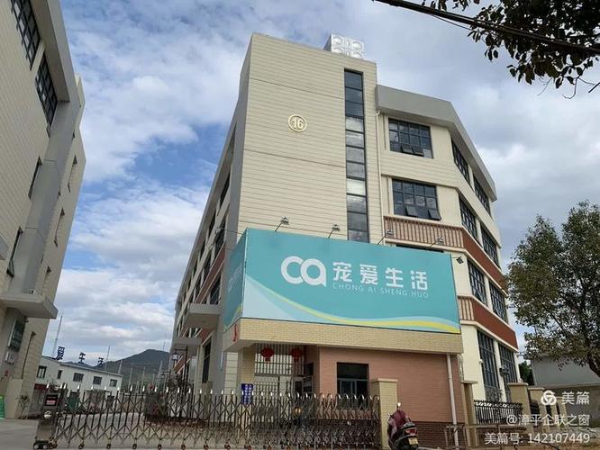 宠爱app应用类型