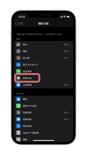 苹果平板朗读功能怎么关闭