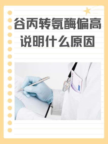 谷丙偏高是什么意思