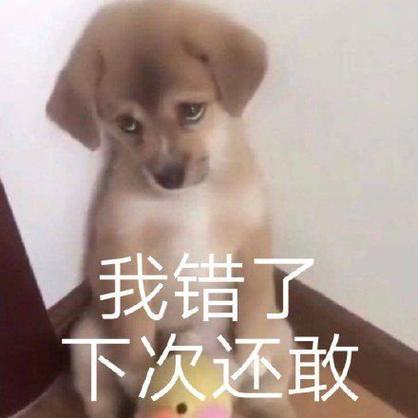 我知错了下次还敢表情包