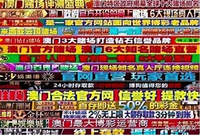 彩票 网