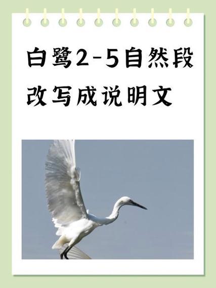 白鹭是什么文章