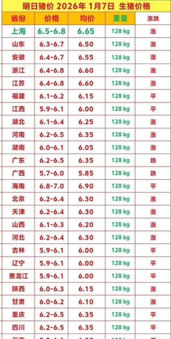 小猪多少钱一个市场价
