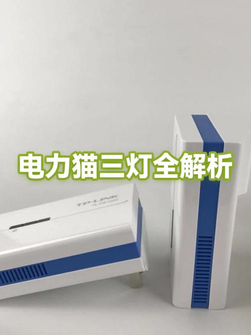 电力猫正常工作亮哪个灯