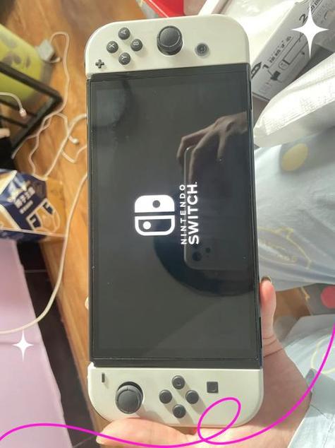 switch破解版验机