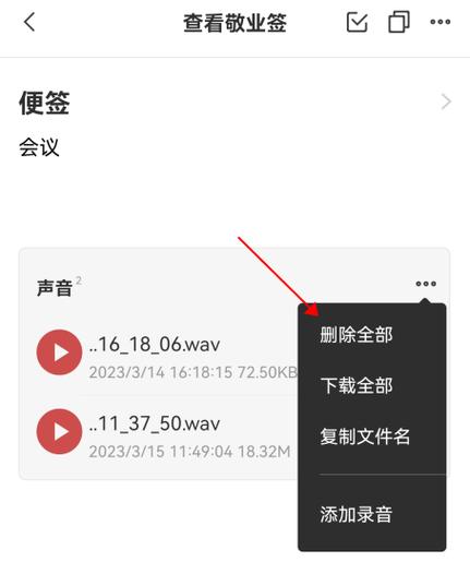 录音里的标签怎样删除图标