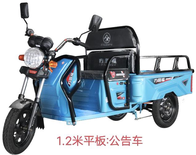 上海可上牌的电动三轮车