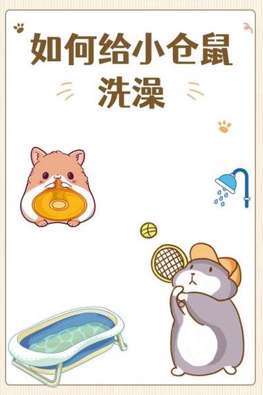 小仓鼠用水洗完澡不动了