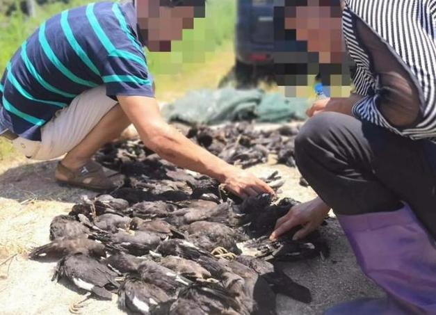 地拍网