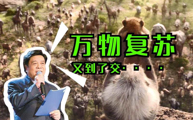 赵忠祥动物世界36集在线观看免费