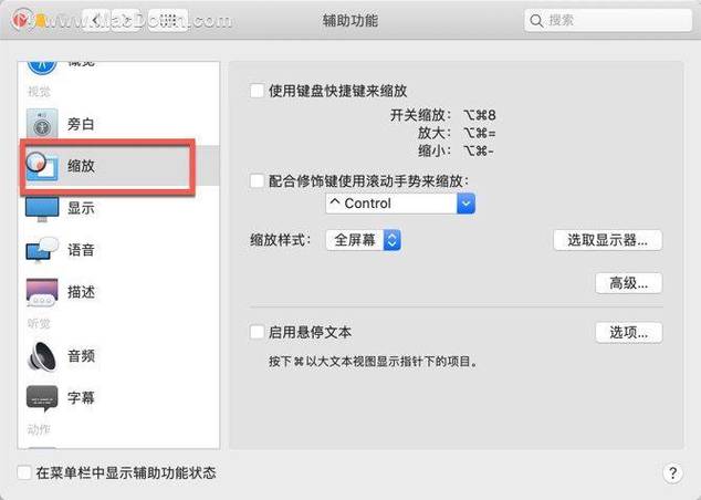 苹果放大屏幕怎么设置