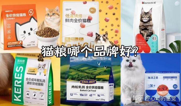 什么牌子猫粮全国排名第一