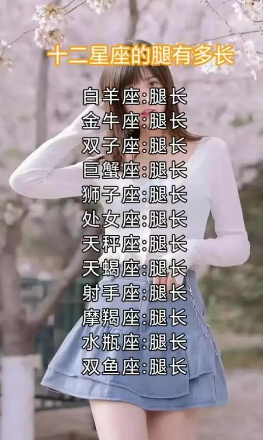 十二星座每日运势