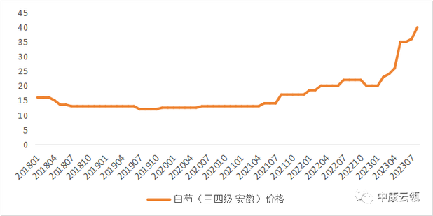 白芍多少钱一斤