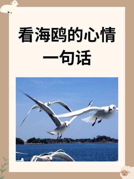 海鸥1-40集免费观看缩略图