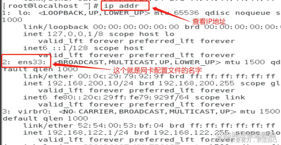 CentOS设置中文教程