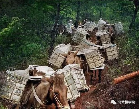 马帮相当于现在的什么