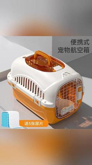 猫箱直接打开