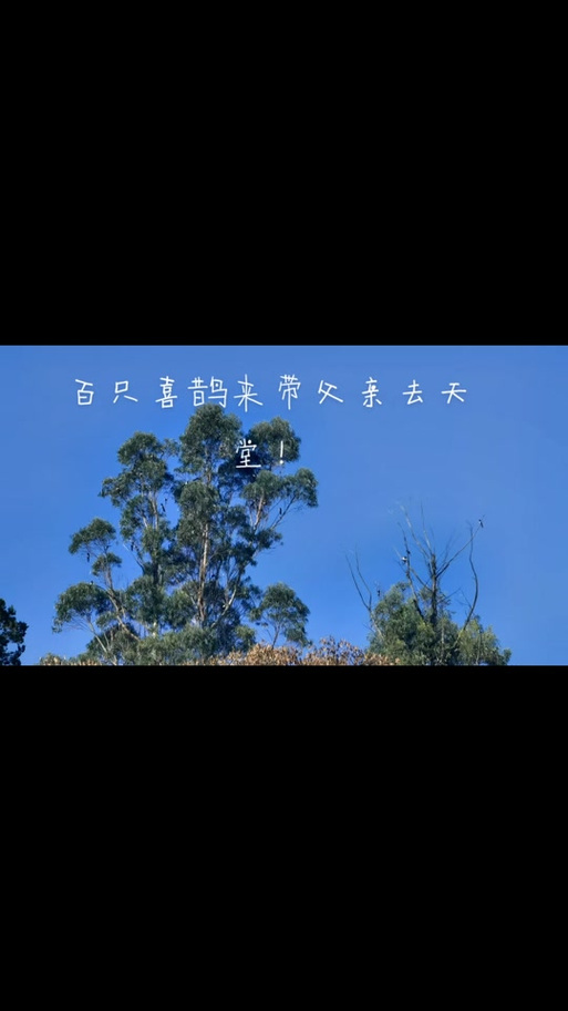 天堂引路人的传说
