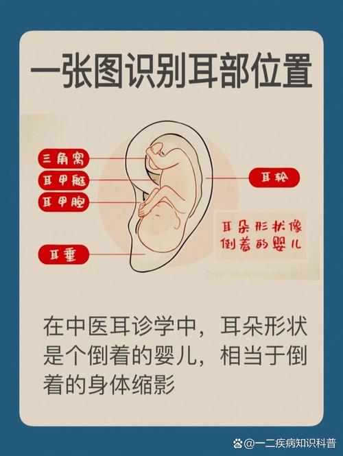 怎么查耳机的序列号游戏截图