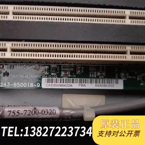 intel server board