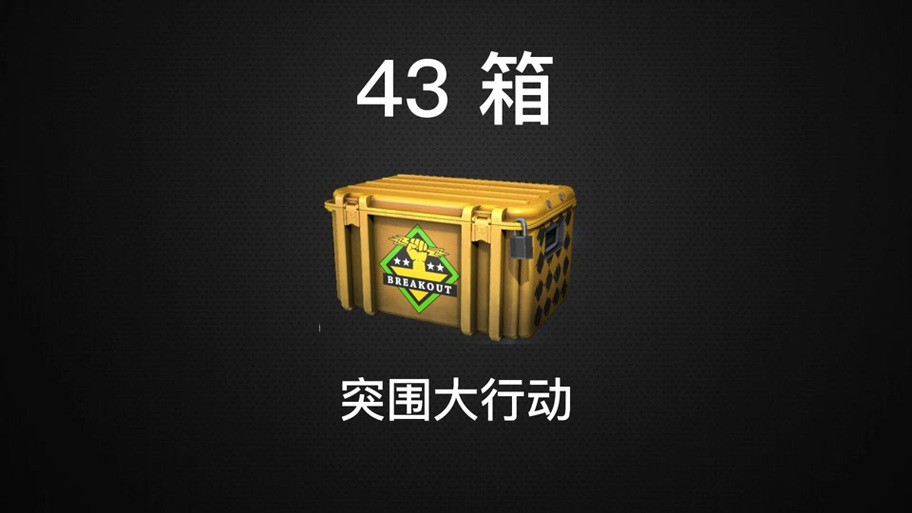 突围大行动箱子多少钱