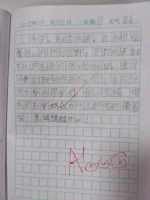 二年级100字日记大全集
