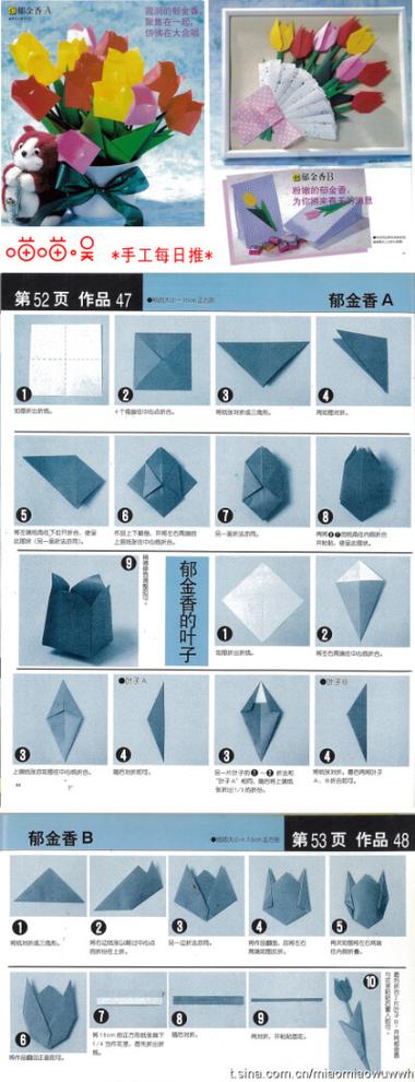 郁金香的手工叠法