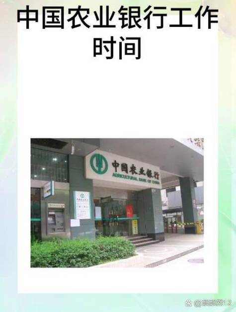 农业银行上班时间