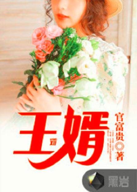 王婿叶凡全集免费