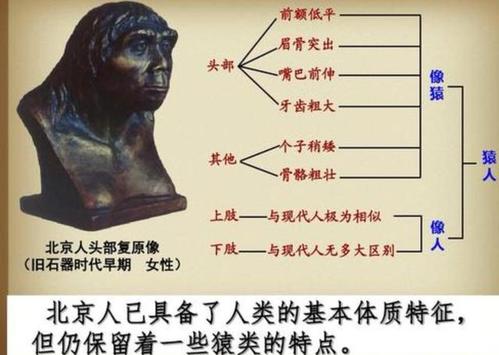 猿人距今多少年截图