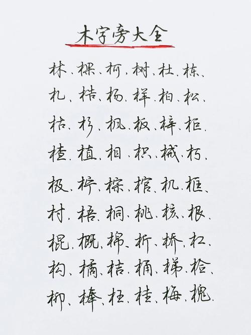 木加偏旁100个