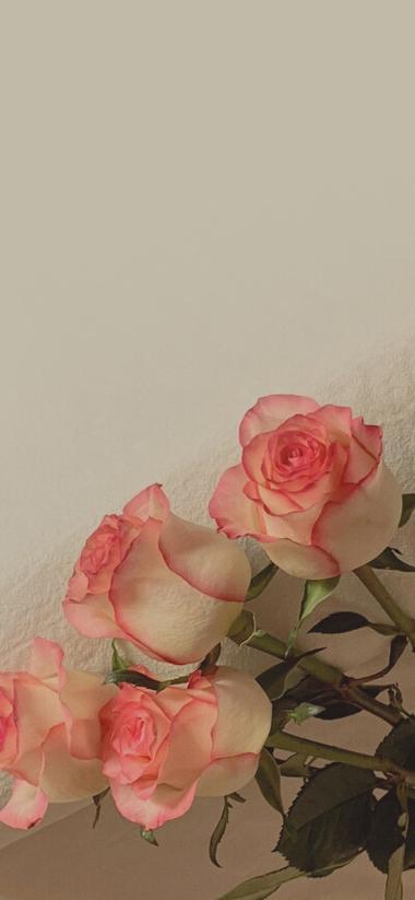 苹果11锁屏慢一秒