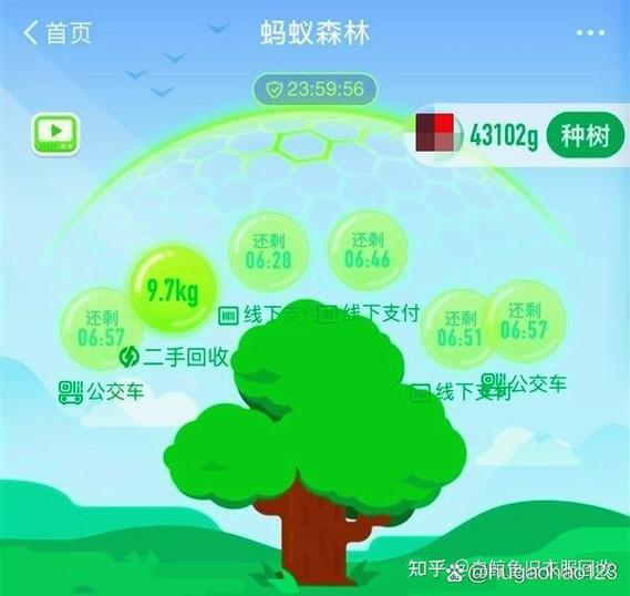 蚂蚁森林绿色能量攻略