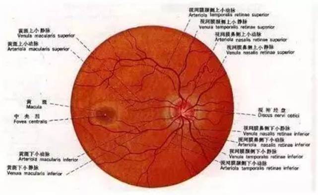 手机出现黄斑,是怎么引起的