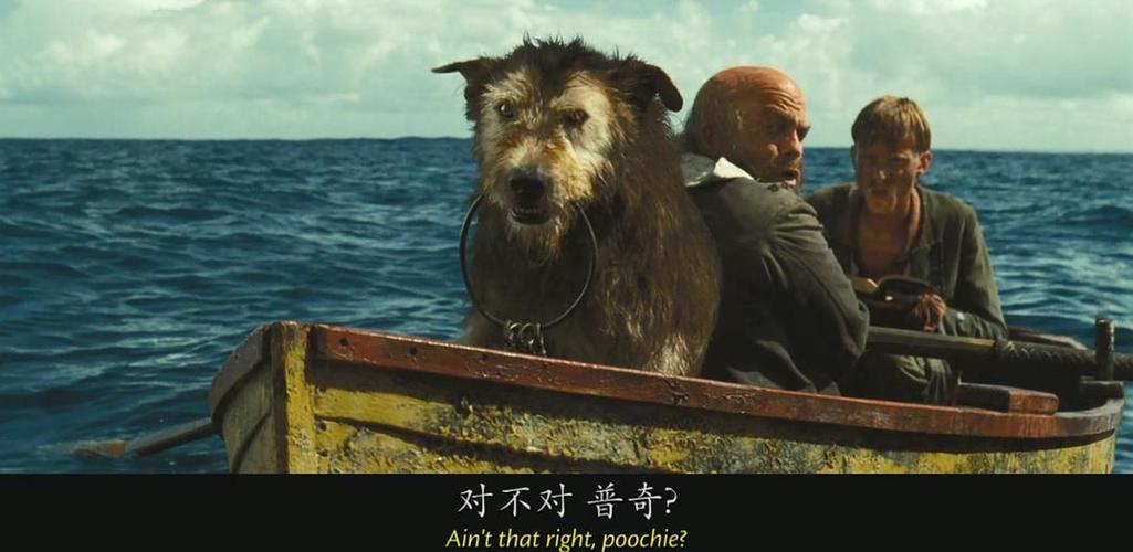 海盗狗影视