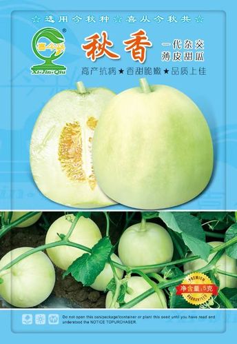 甜瓜35.0版本国际版