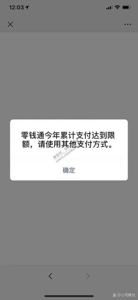 支付交易额度限制游戏截图