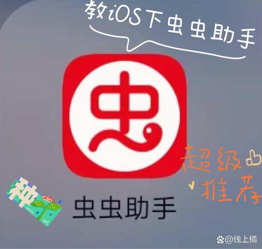 虫虫助手官方最新版的功能介绍