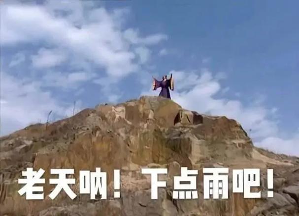 纵有千般意难平,万般无奈难言明