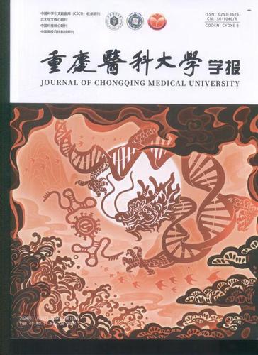 期刊杂志