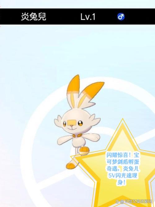 剑盾自动孵蛋