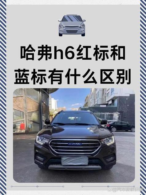 哈弗红标贵还是蓝标贵