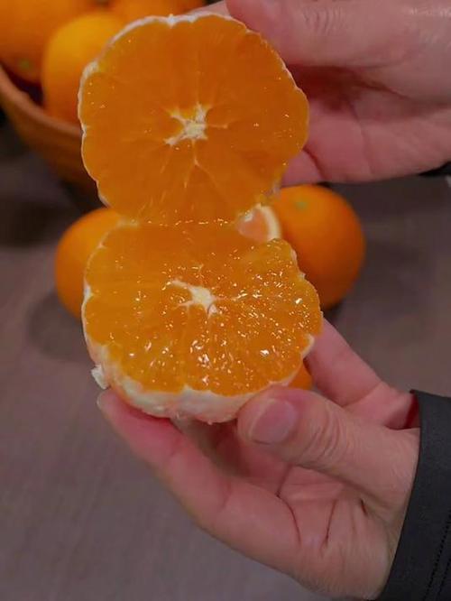 橙子只吃汁不吃渣