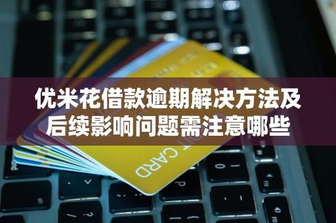 优米花说我借款到期