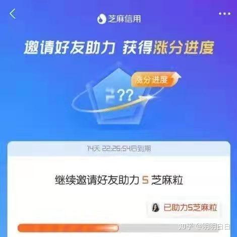 芝麻助力接单平台缩略图