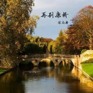 董卿诵读《再别康桥》视频