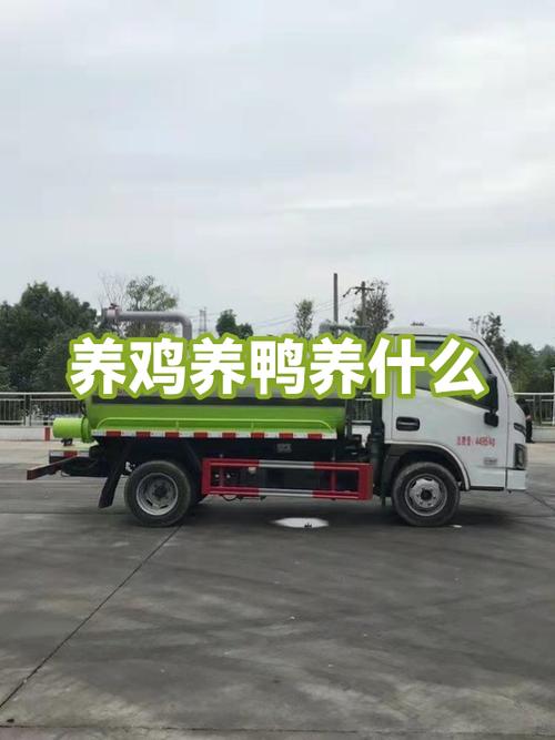 养鸡赚钱还是养鸭赚钱游戏截图